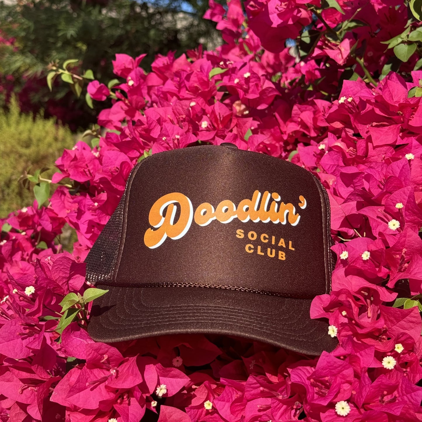 brown trucker hat for doodle lovers