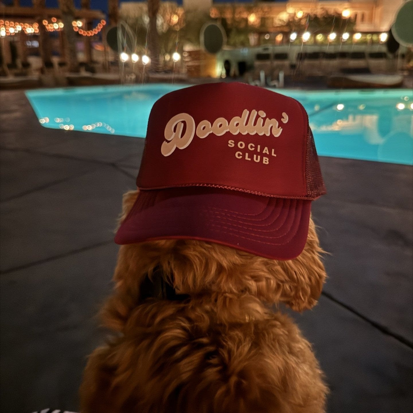 maroon trucker hat pool