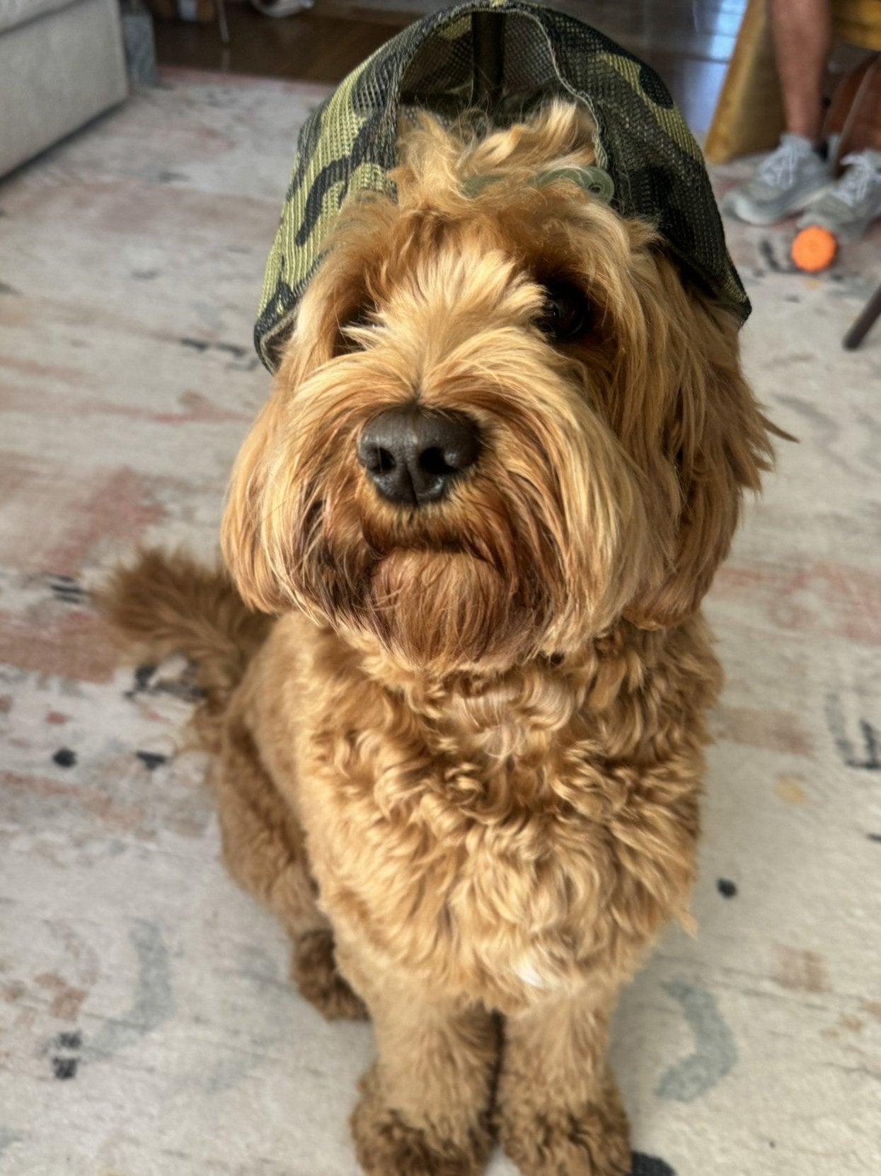 doodle camo hat